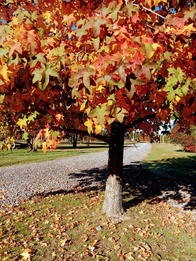 Casa De Campo Liquidambar San Pedro  Luaran gambar